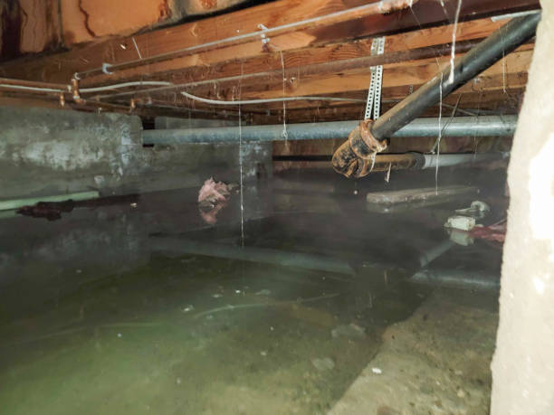 24/7 water damage repair in UT