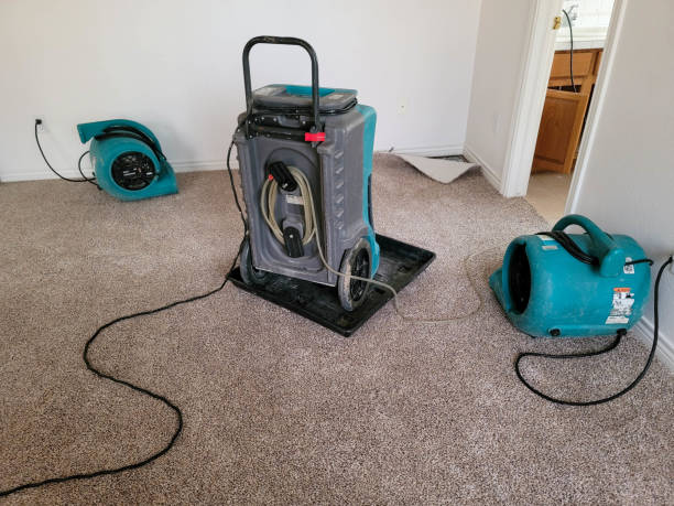 Best Carpet water damage restoration  in Copperton, UT
