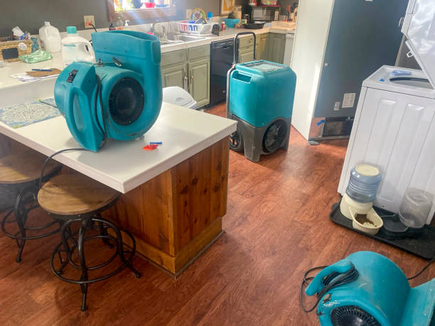 Best Professional water damage repair  in Copperton, UT