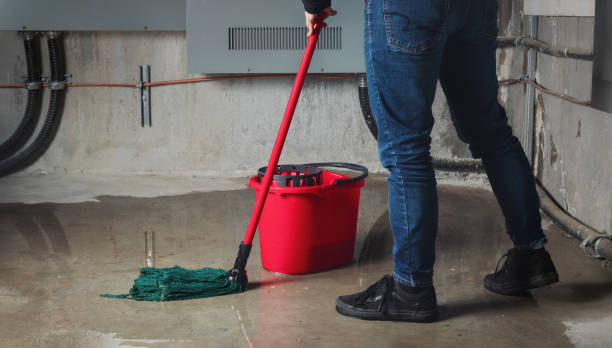 Best Local water damage restoration  in Copperton, UT