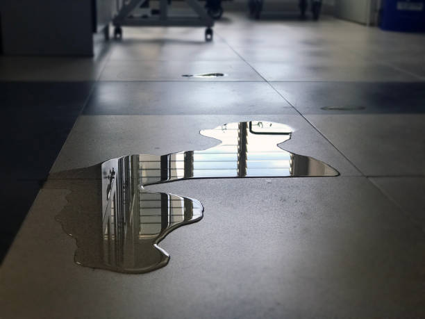 Local water damage restoration in UT