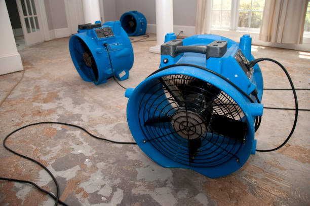  Copperton, UT Water damage restoration Pros