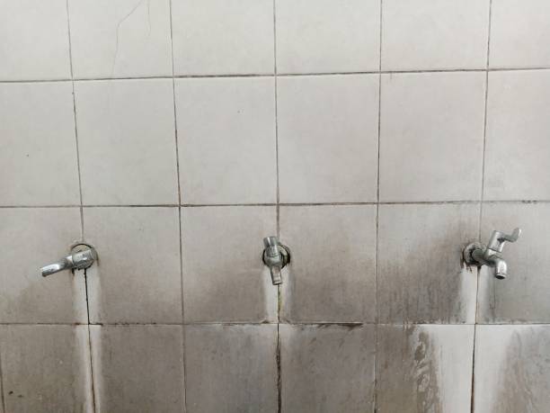 Best Ceiling water damage repair  in Copperton, UT