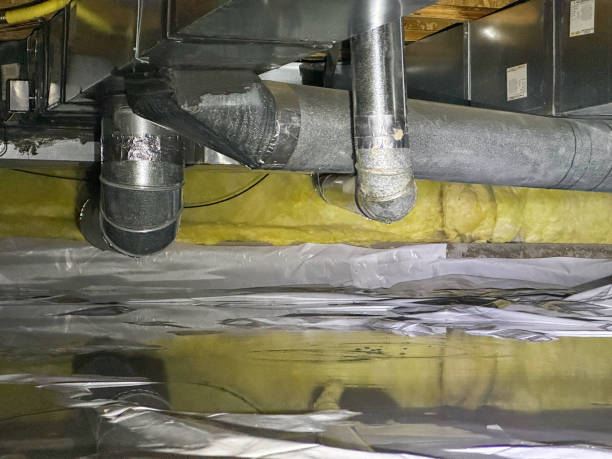 Best Basement water damage restoration  in Copperton, UT