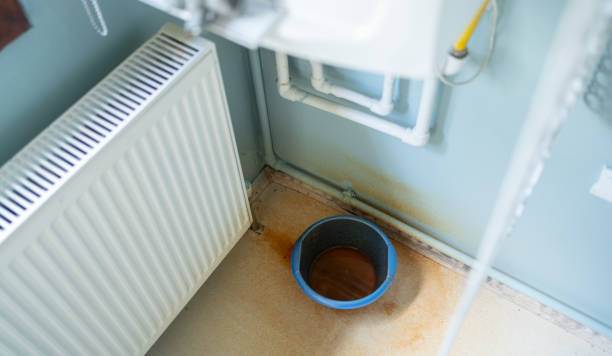 Best Water damage repair service  in Copperton, UT